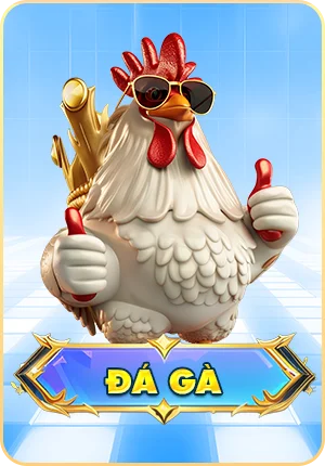 kk55 đá gà